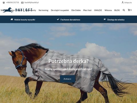 Akcesoria do telefonu - beststore.pl