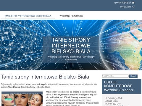Tworzenie stron internetowych Kalisz, Konin, Ostrów Wlkp.