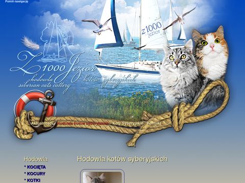 Z 1000 Jezior*Pl - hodowla kotów Syberyjskich - Siberian cats cattery