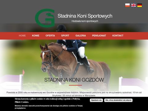 Pensjonat koni sportowych - skgozdow.pl