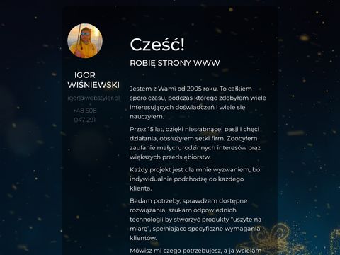 Strony Internetowe Poznań - Berber