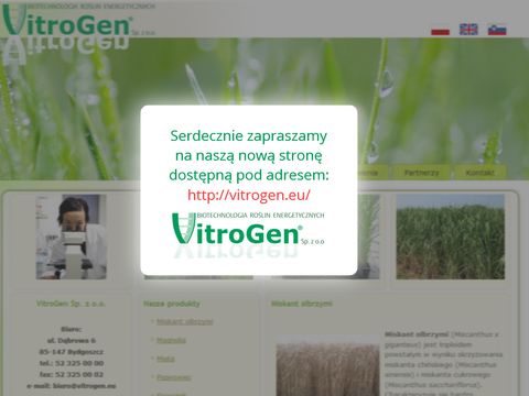Rośliny energetyczne - Vitrogen