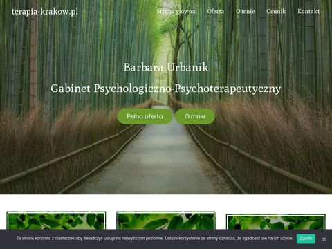 Psychoterapia przez internet - bezproblemowo.com