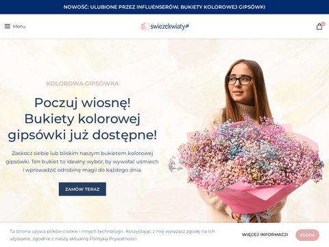 Firma sprzątająca Wrocław • Alveu.pl