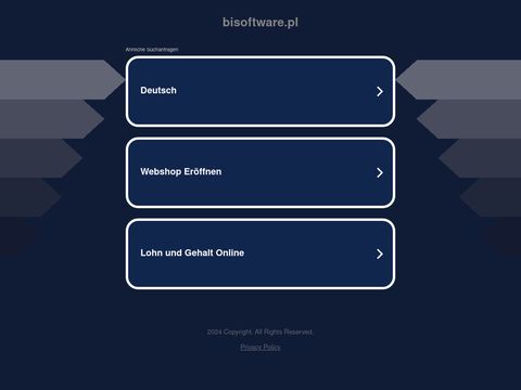 BISoftware - projektowanie stron www Zawiercie