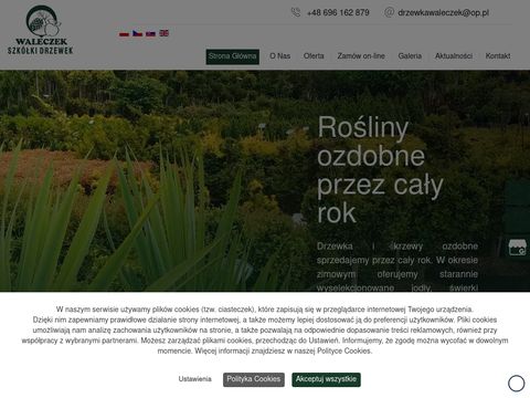 Nawozy dolistne - dr-green.pl