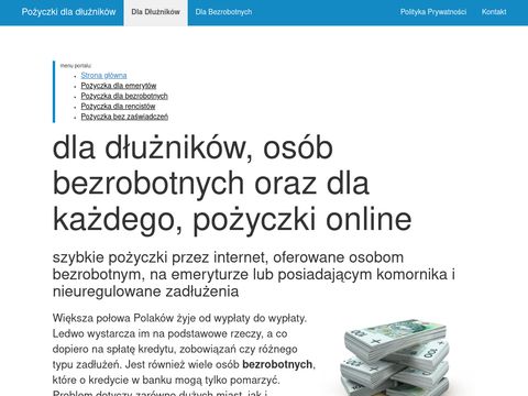 BiznesPozyczki.pl