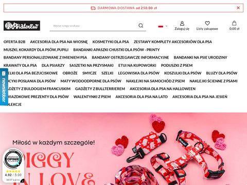 Sukienki sklep internetowy - adikasklep.pl