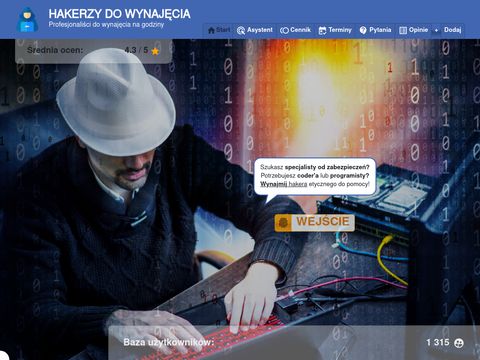 PageInteractive.pl - agencja interaktywna Warszawa