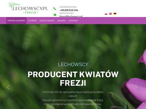 Sprzedaż dużych drzew iglastych i liściastych - największy wybór w Polsce