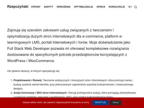 Dawid Rzepczyński Specjalista WordPress
